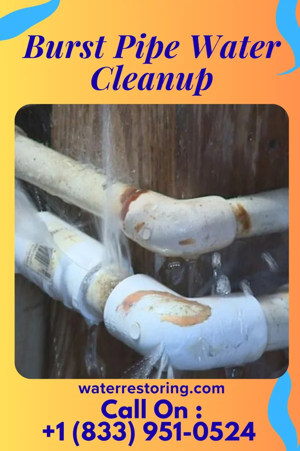 Burst Pipe Water Cleanup in Sandy Hook, MD