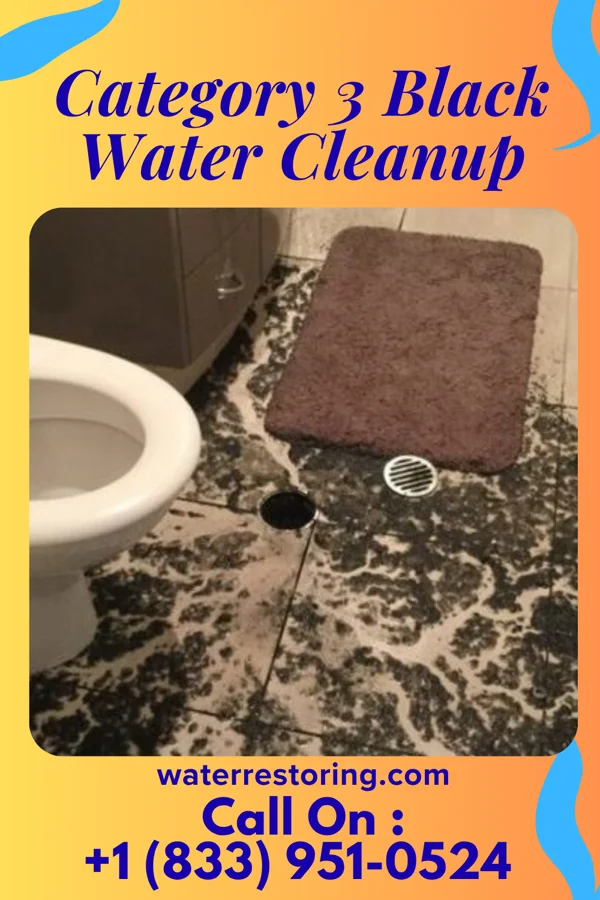 Category 3 Black Water Cleanup in Sandy Hook, MD