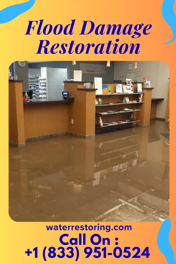 Flood Damage Restoration in Sandy Hook, MD
