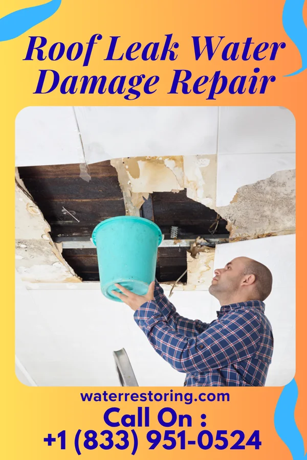 Roof Leak Water Damage Repair in Sandy Hook, MD