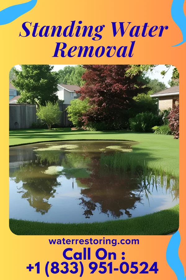 Standing Water Removal in Sandy Hook, MD